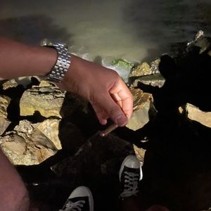 Meet your Posher, Marlonn